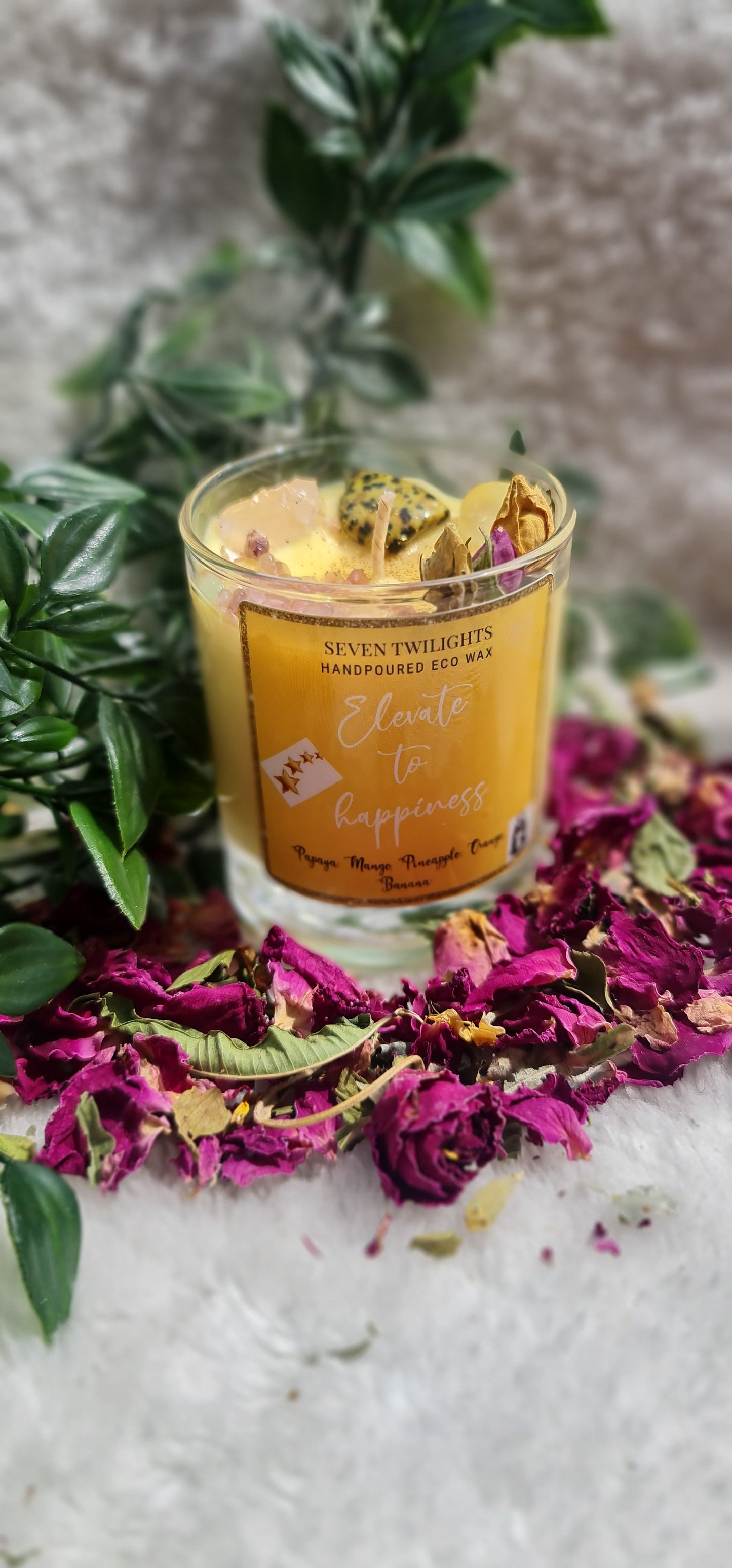 Elevate to Happiness *New scent/style